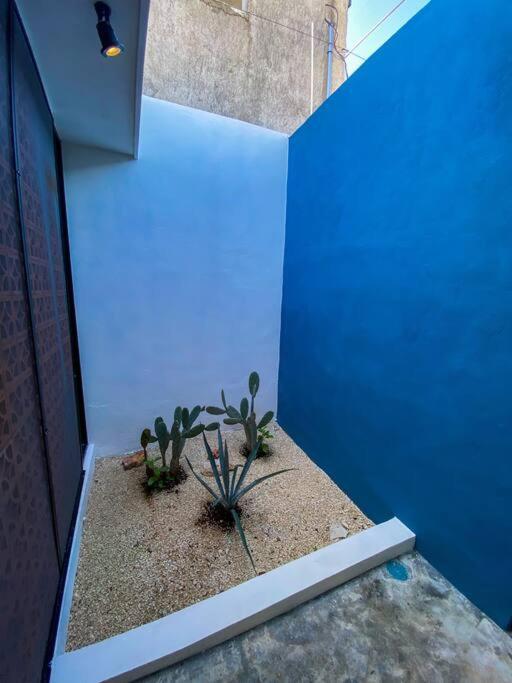 Villa Modern Casa With Pool 7 Mins From Centro 5Min La Plancha Park à Mérida Extérieur photo