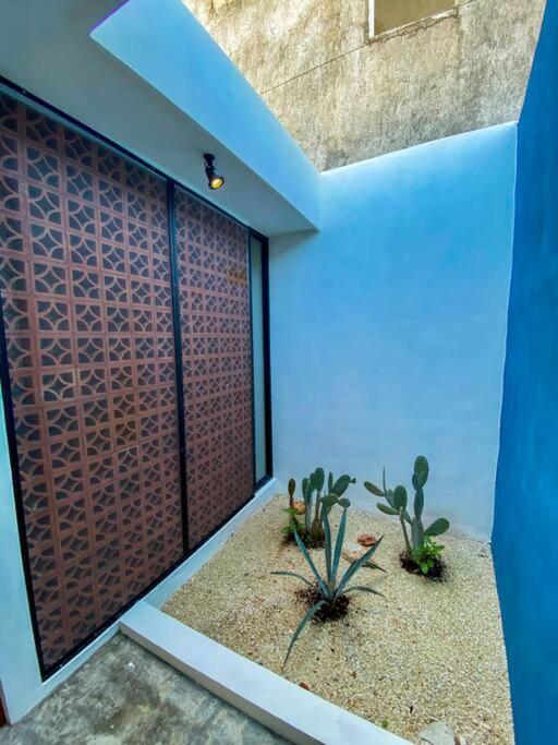 Villa Modern Casa With Pool 7 Mins From Centro 5Min La Plancha Park à Mérida Extérieur photo
